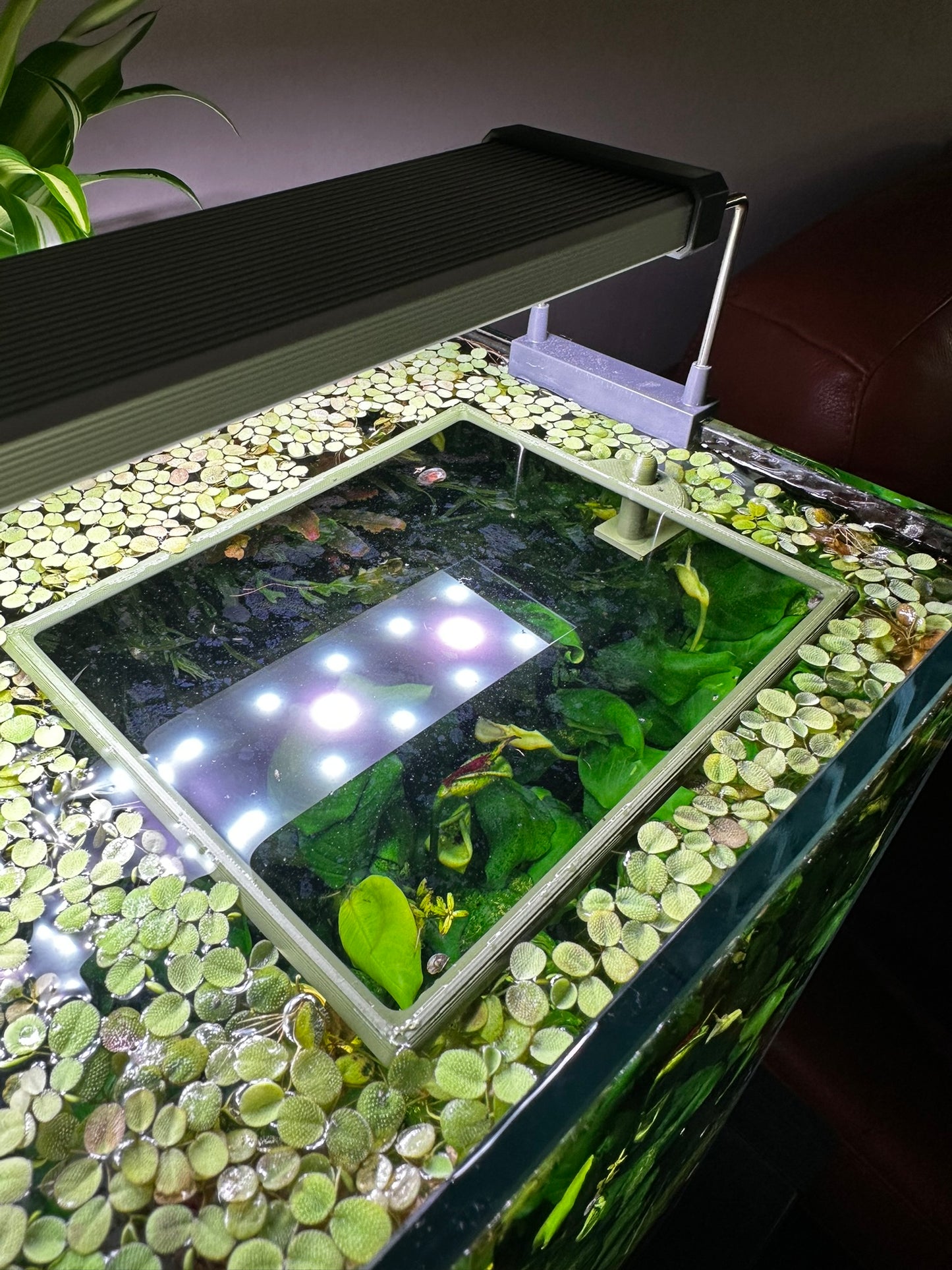 Aquarium Rechteckring mit Halterung – Schwimmender Pflanzen- & Futterring