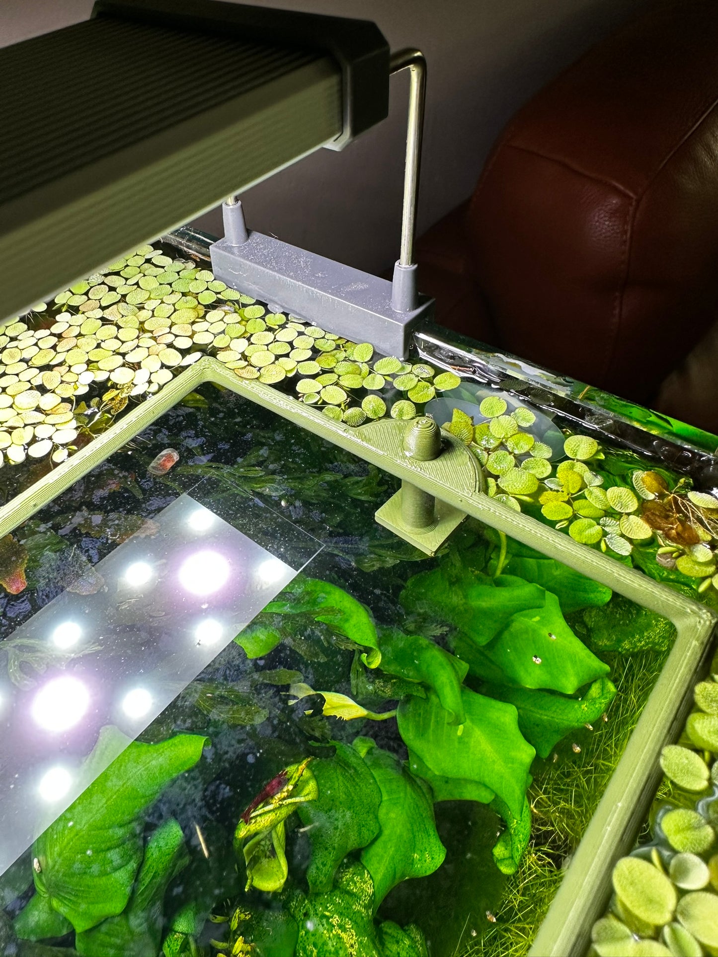 Aquarium Rechteckring mit Halterung – Schwimmender Pflanzen- & Futterring