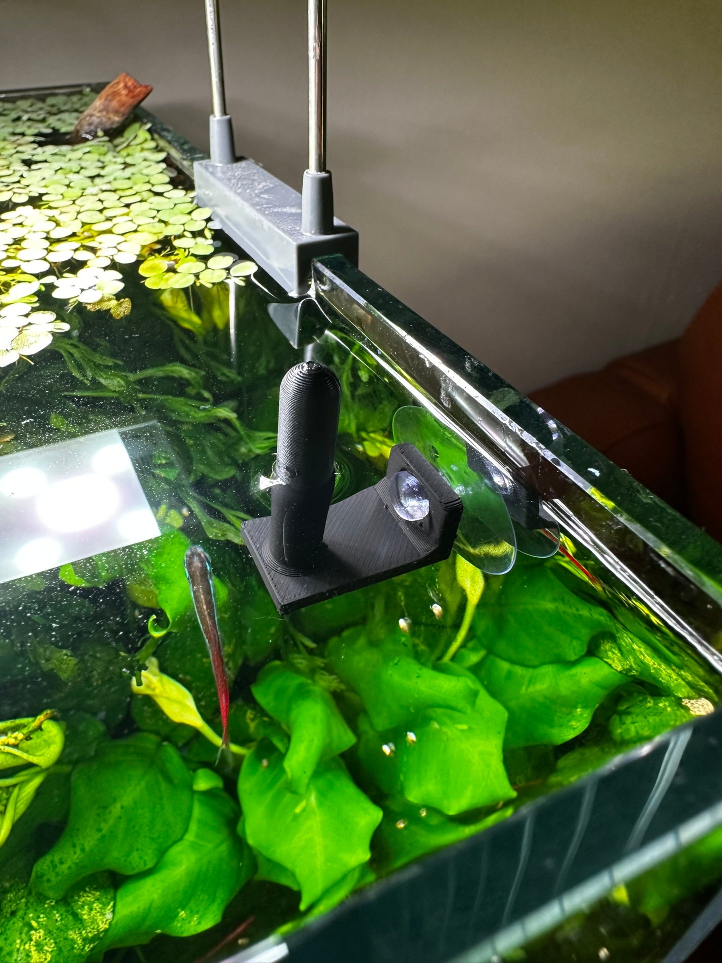 Aquarium Rechteckring mit Halterung – Schwimmender Pflanzen- & Futterring