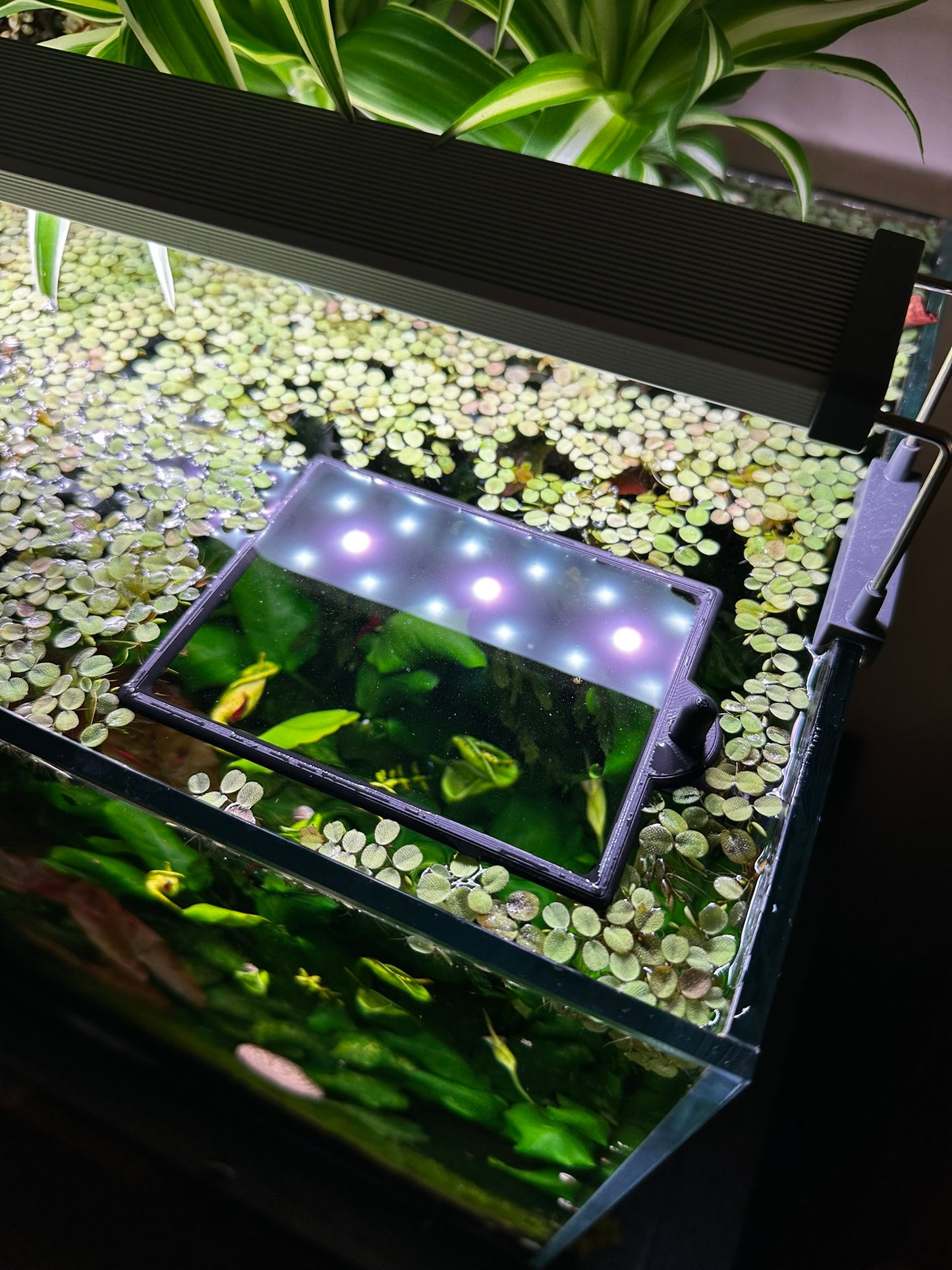 Aquarium Rechteckring mit Halterung – Schwimmender Pflanzen- & Futterring