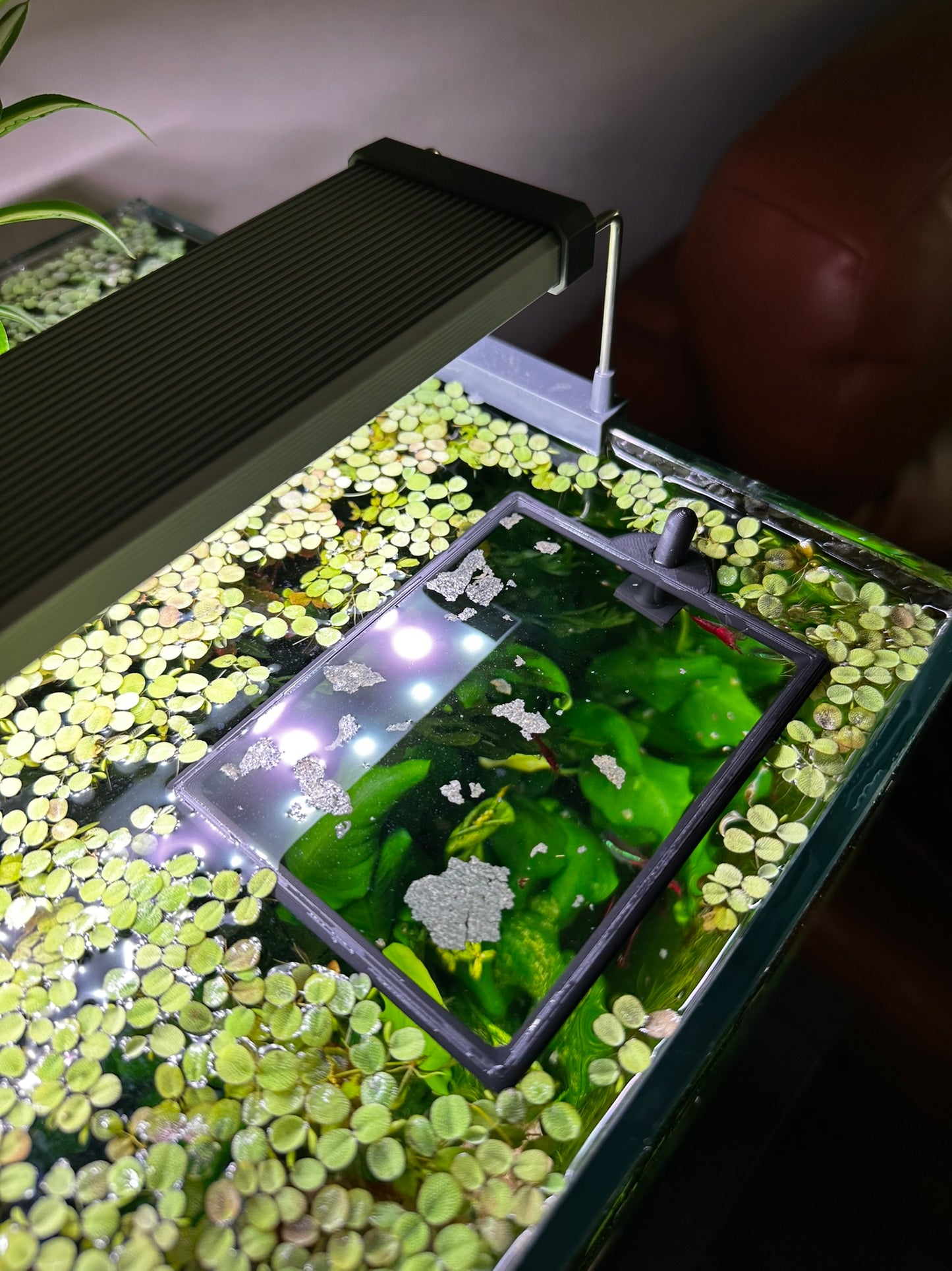 Aquarium Rechteckring mit Halterung – Schwimmender Pflanzen- & Futterring