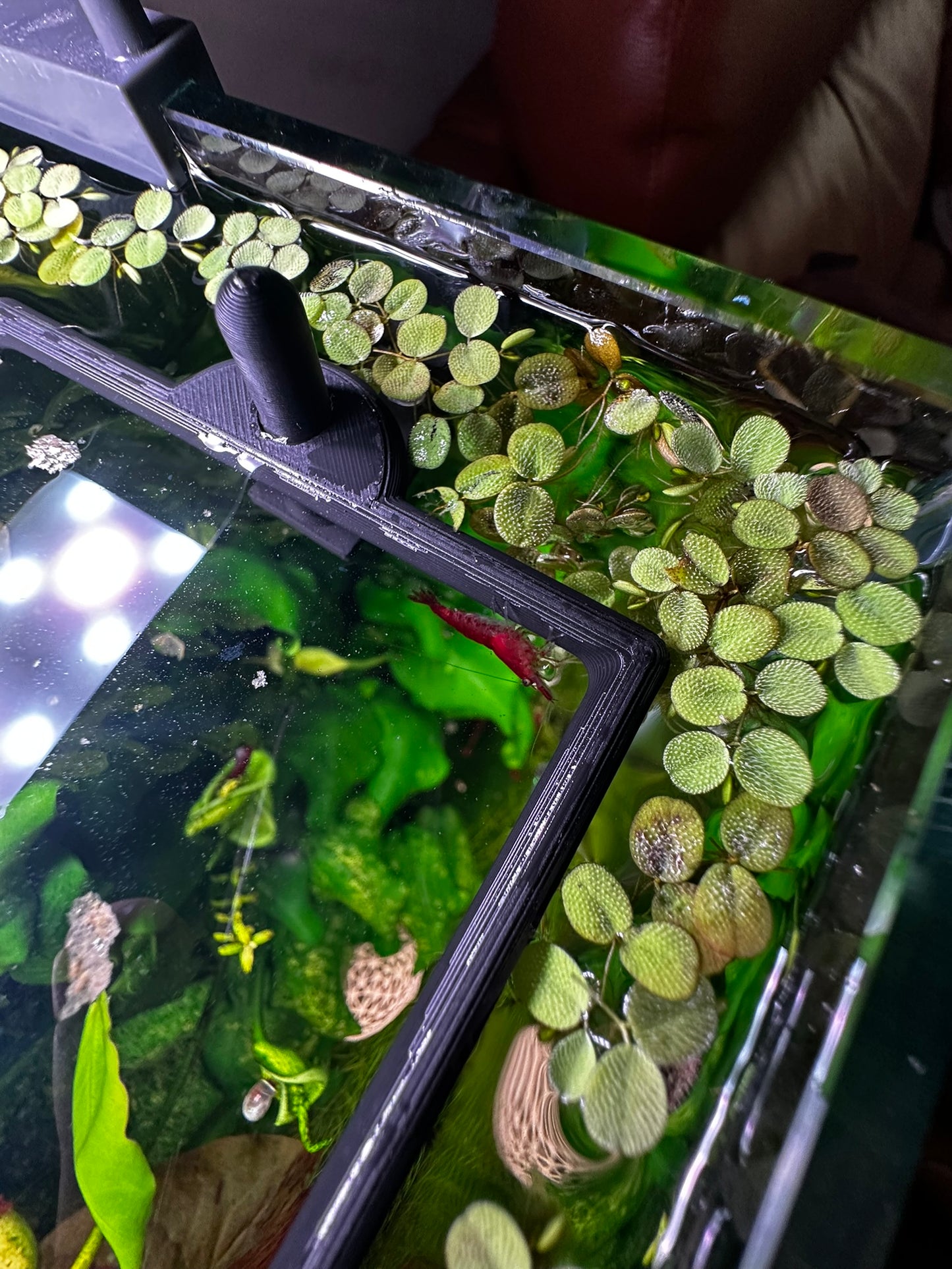 Aquarium Rechteckring mit Halterung – Schwimmender Pflanzen- & Futterring