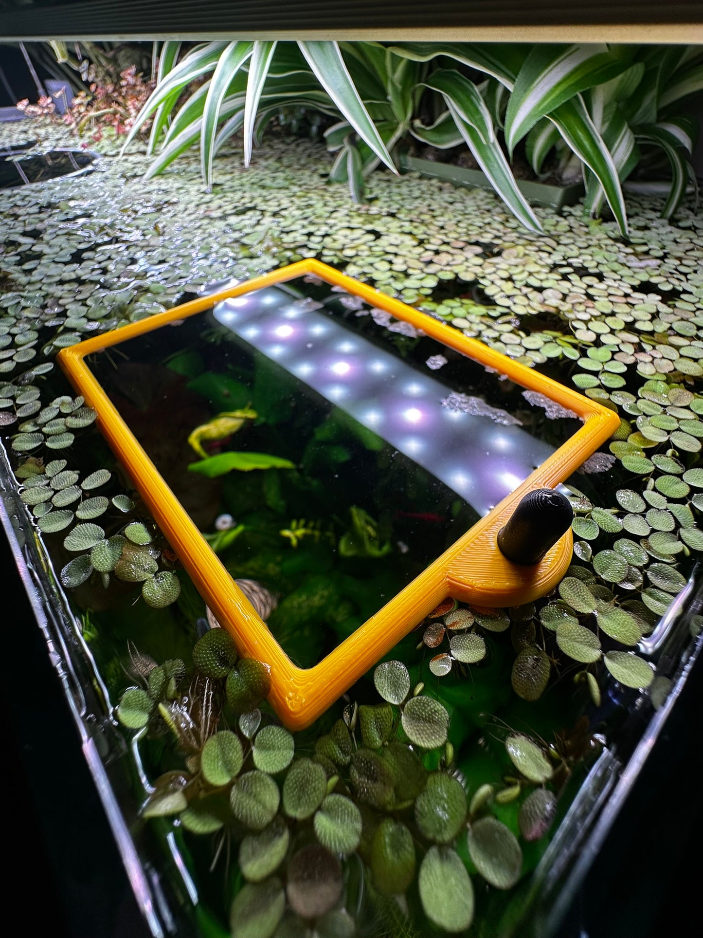 Aquarium Rechteckring mit Halterung – Schwimmender Pflanzen- & Futterring