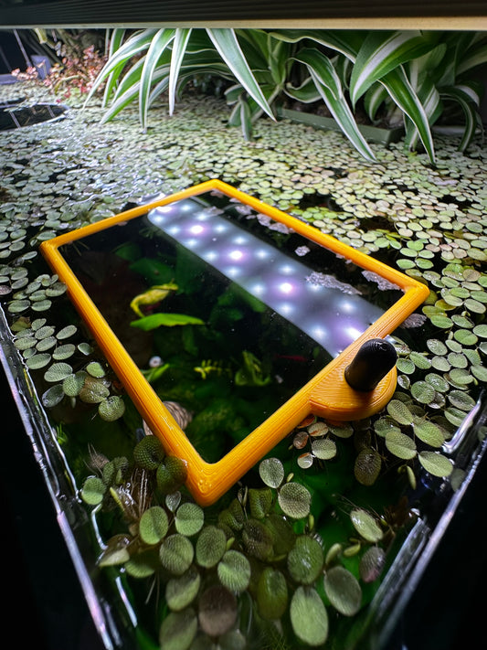 Aquarium Rechteckring mit Halterung – Schwimmender Pflanzen- & Futterring