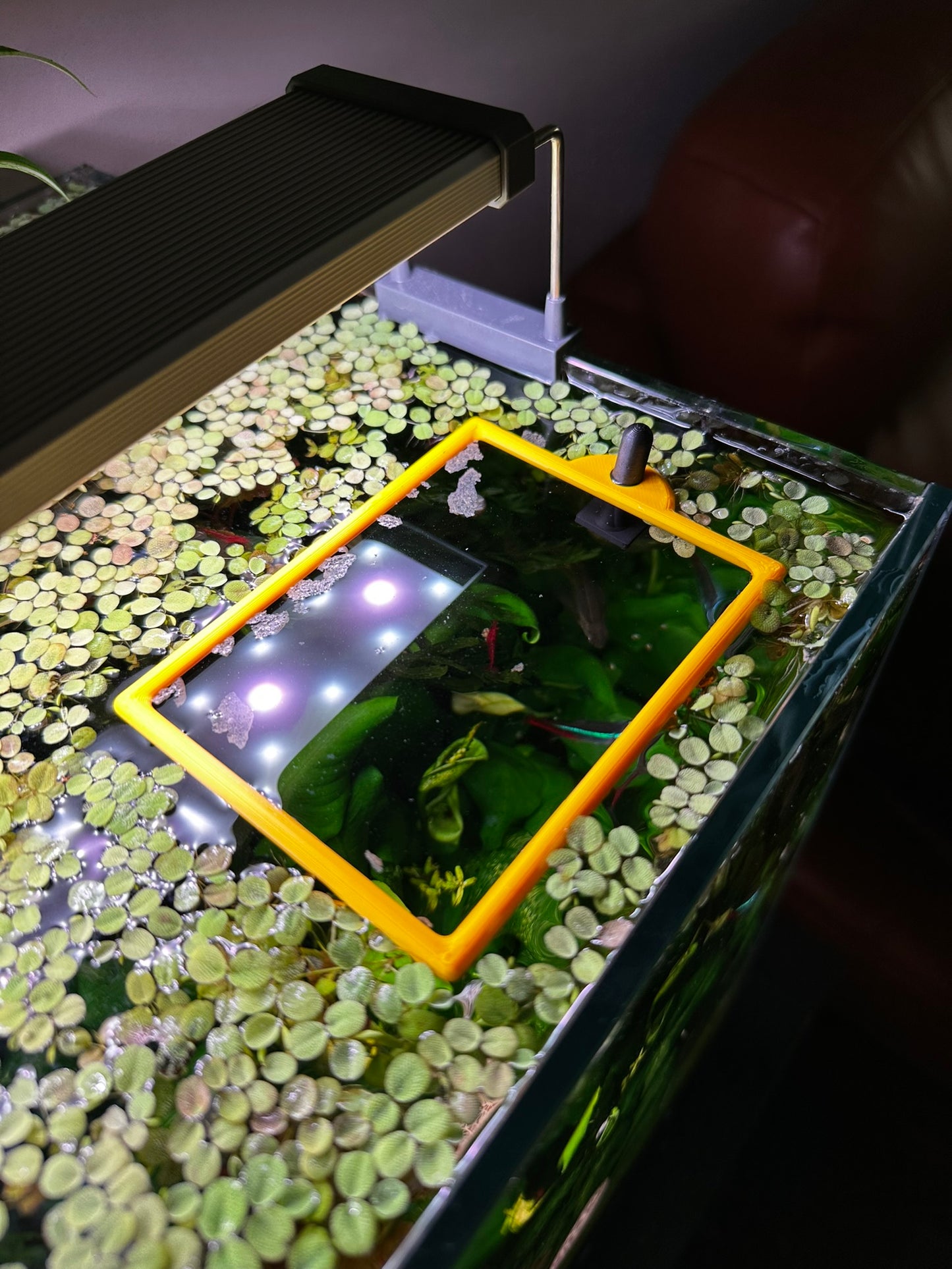 Aquarium Rechteckring mit Halterung – Schwimmender Pflanzen- & Futterring