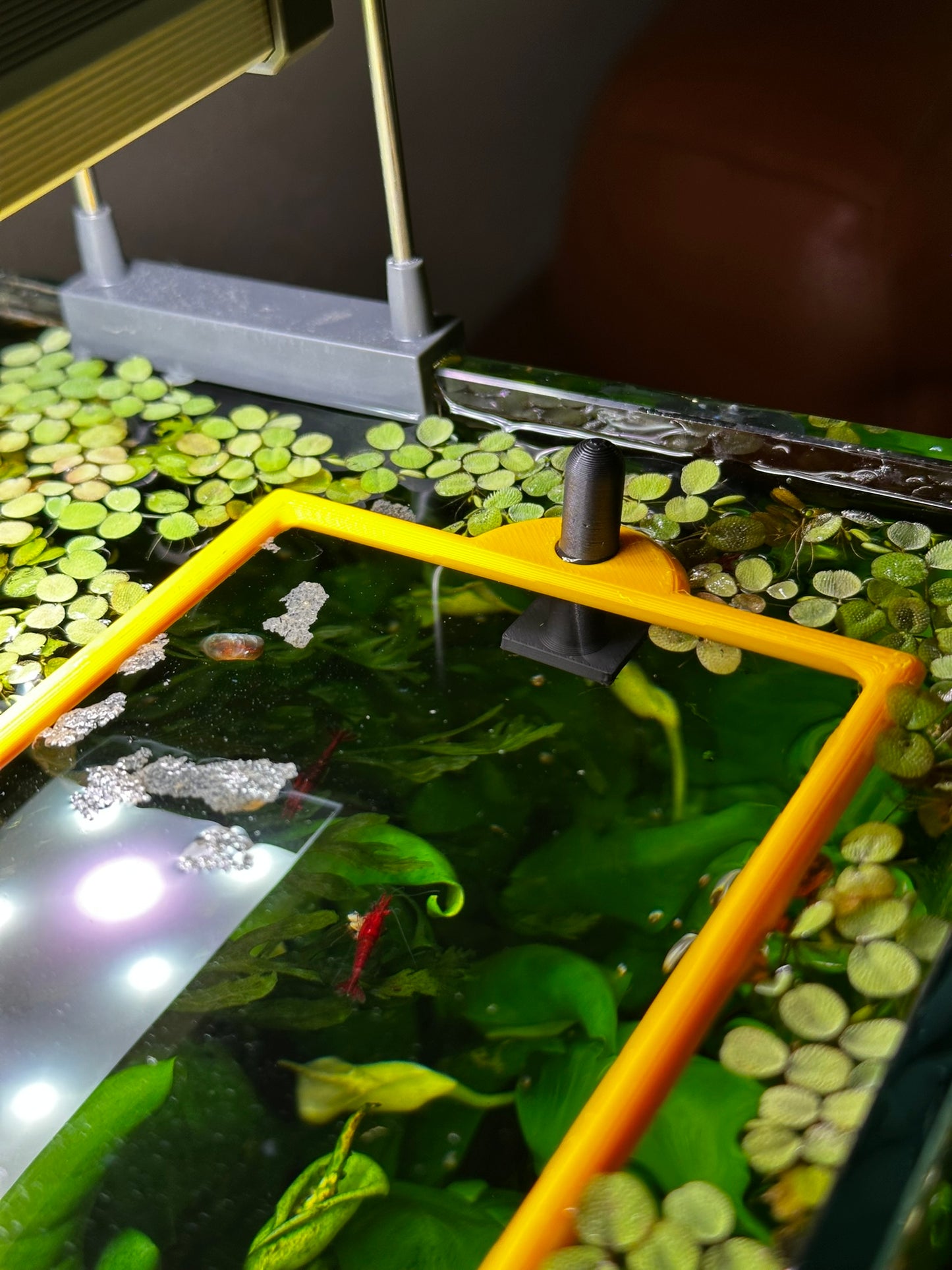 Aquarium Rechteckring mit Halterung – Schwimmender Pflanzen- & Futterring