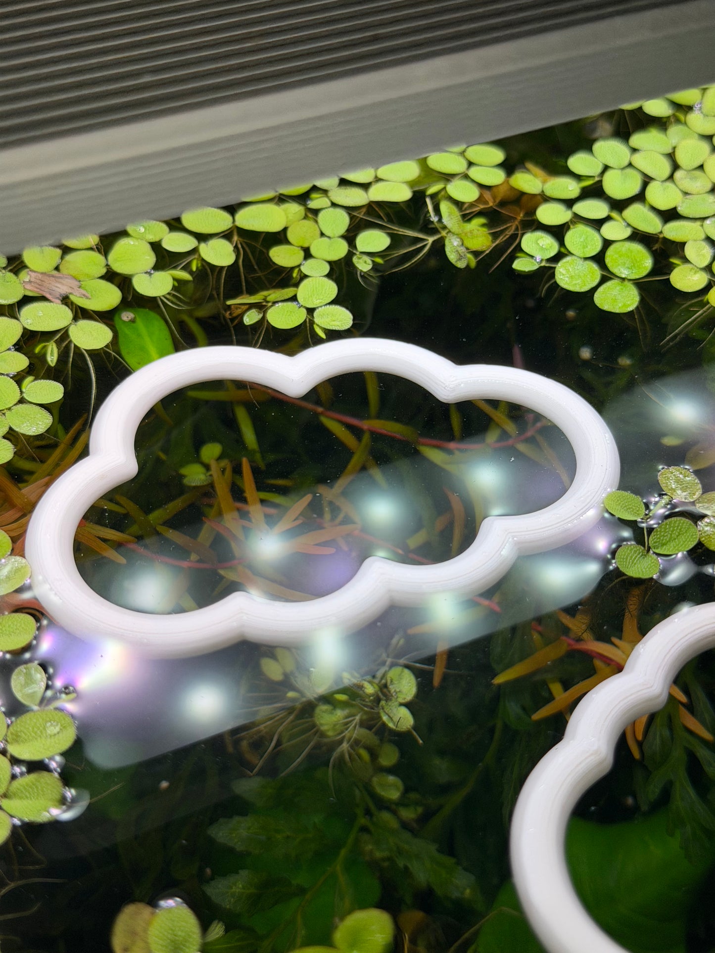 Wolken-Set fürs Aquarium – Dekorativer Ring für Pflanzen & Futter