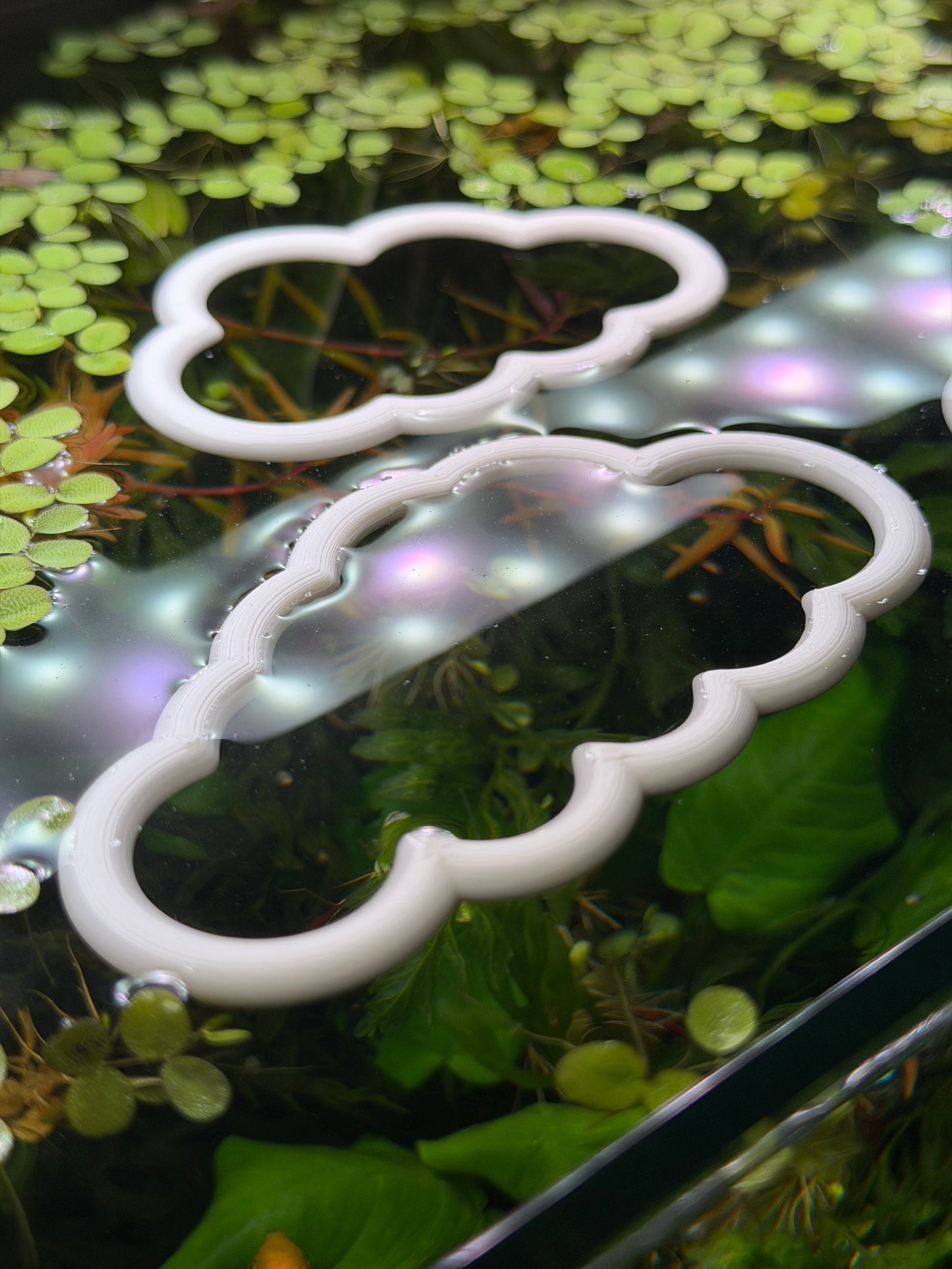 Wolken-Set fürs Aquarium – Dekorativer Ring für Pflanzen & Futter