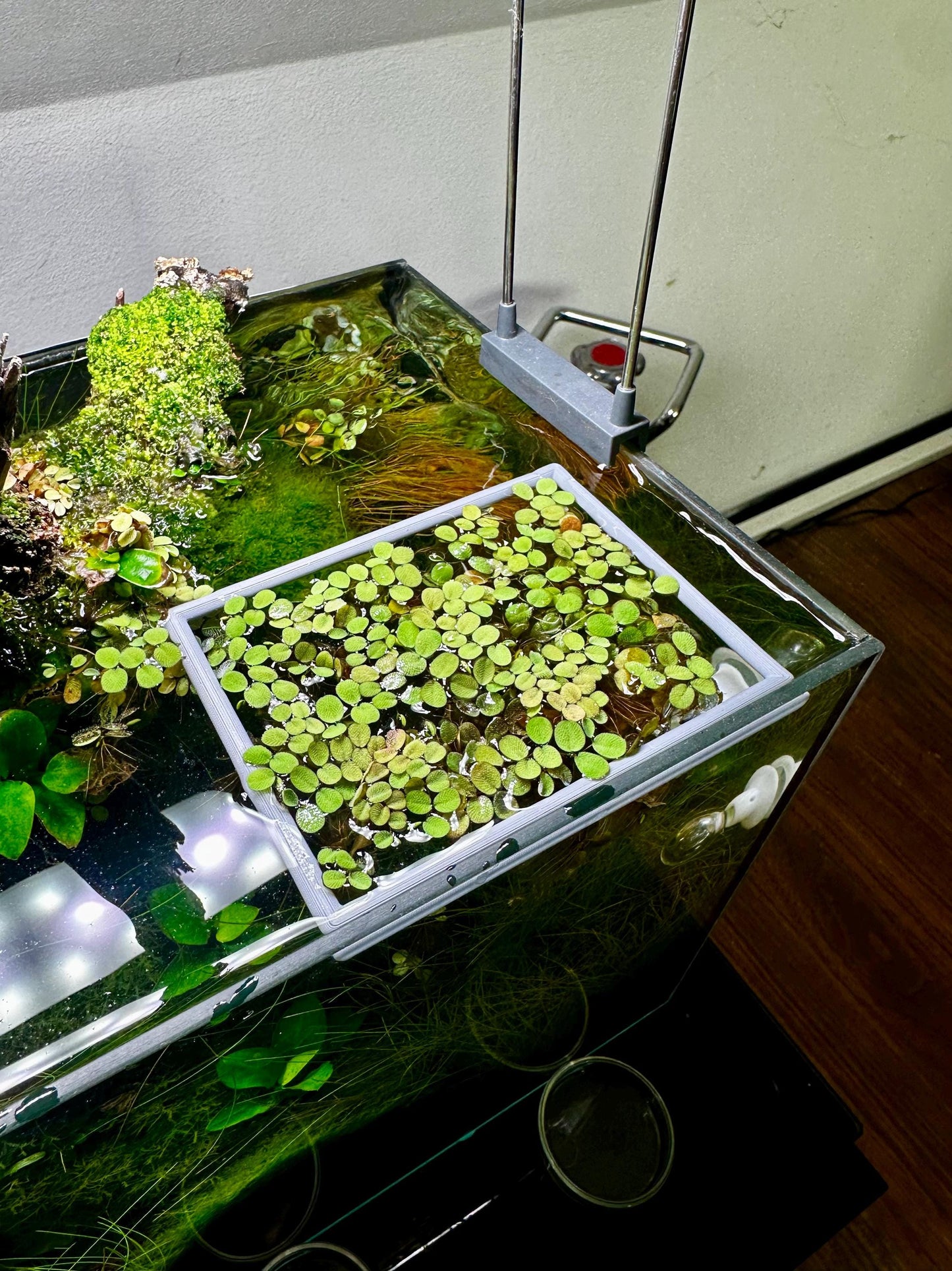 Schwimmender Aquarium-Ring in Rechteckform – Futter- & Pflanzenhilfe