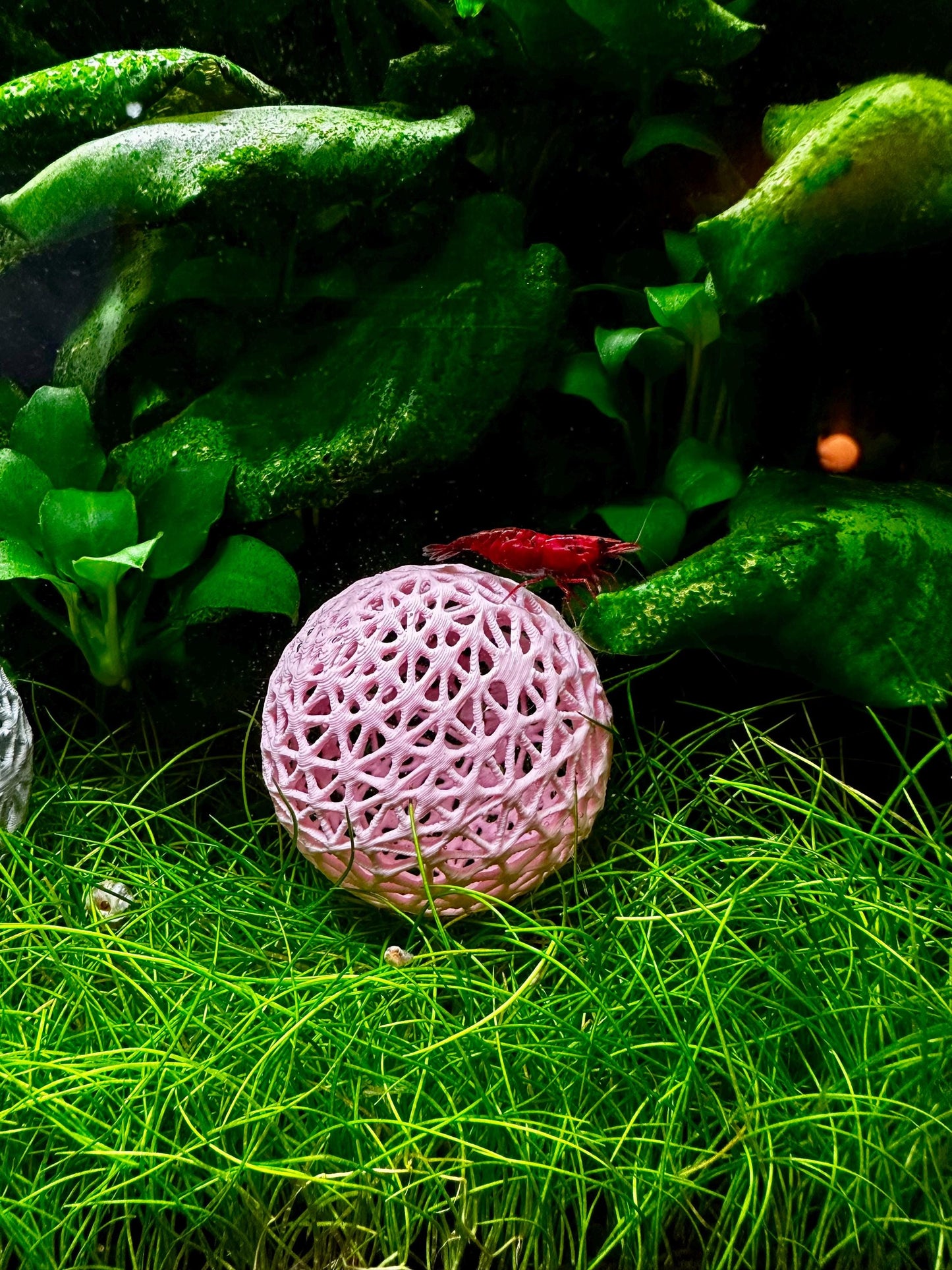 Aquarium Dekokugel z.B zum Aufbinden von Moos