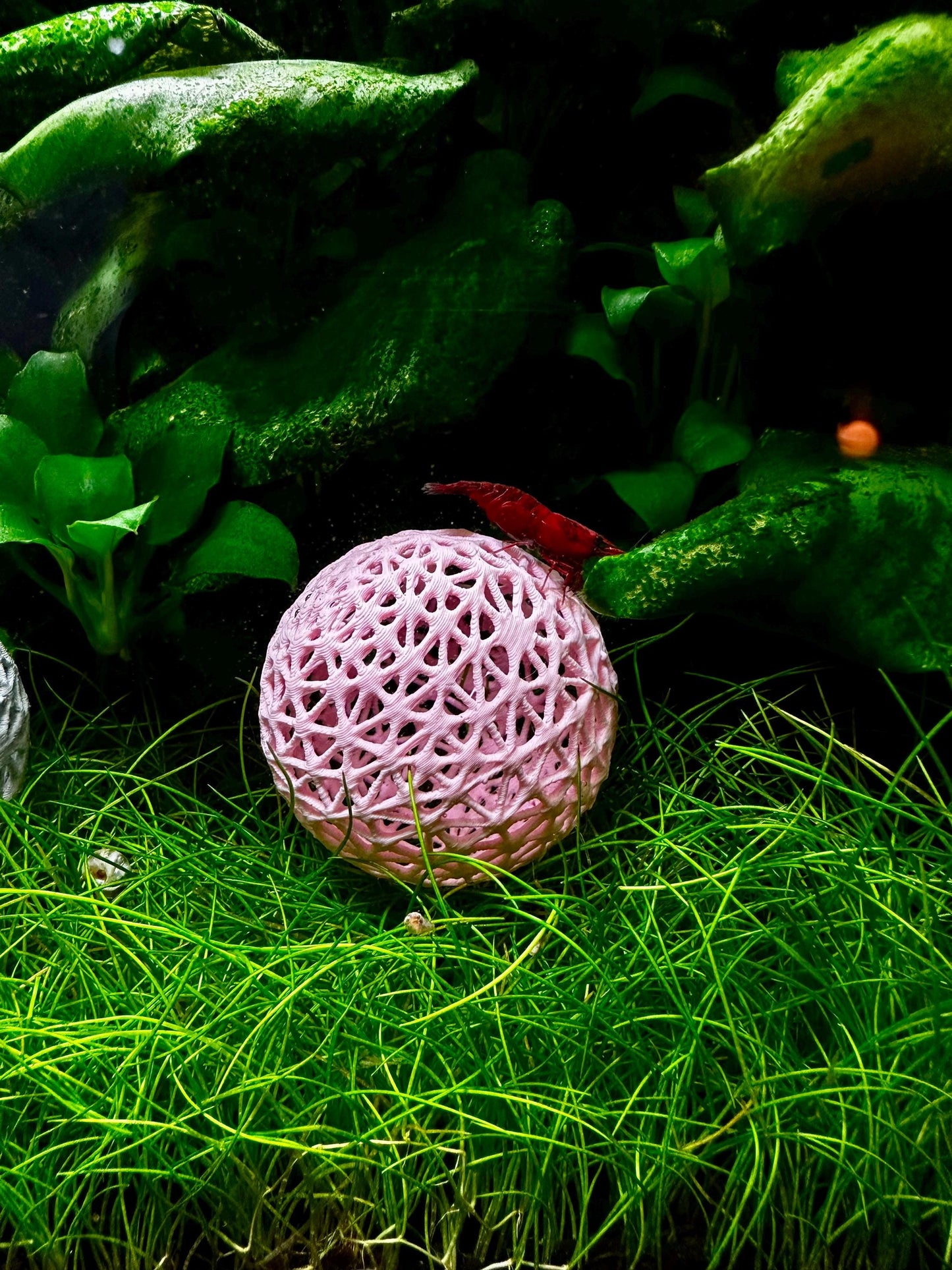 Aquarium Dekokugel z.B zum Aufbinden von Moos