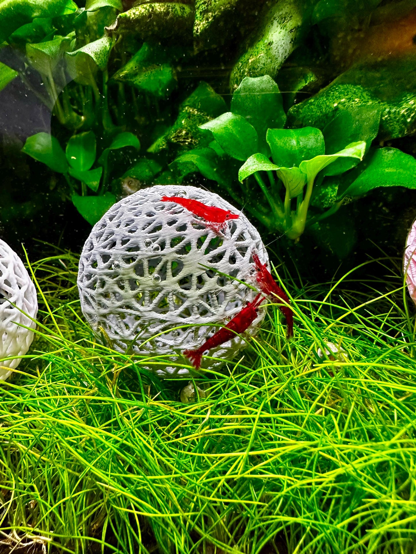 Aquarium Dekokugel z.B zum Aufbinden von Moos