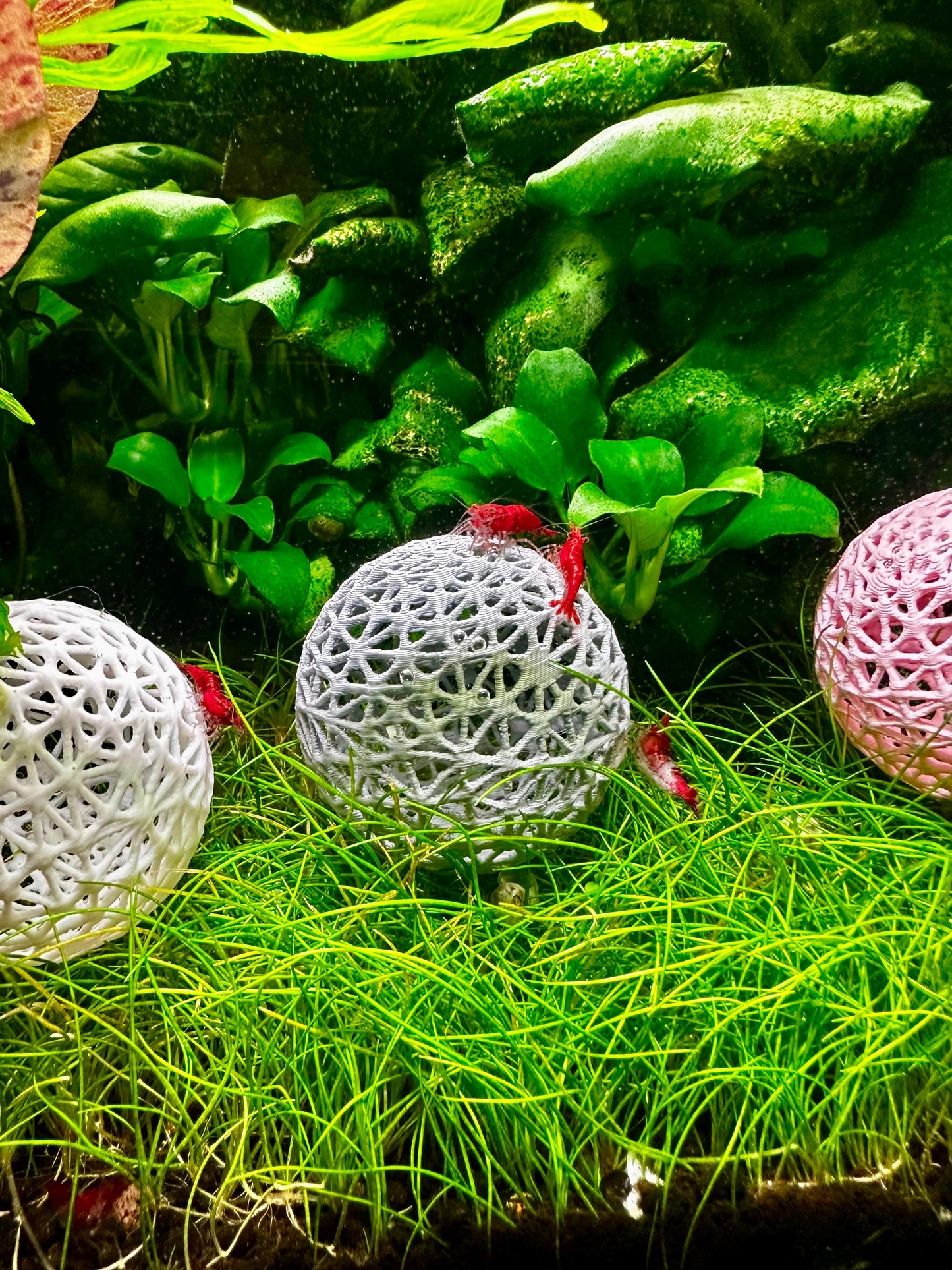 Aquarium Dekokugel z.B zum Aufbinden von Moos