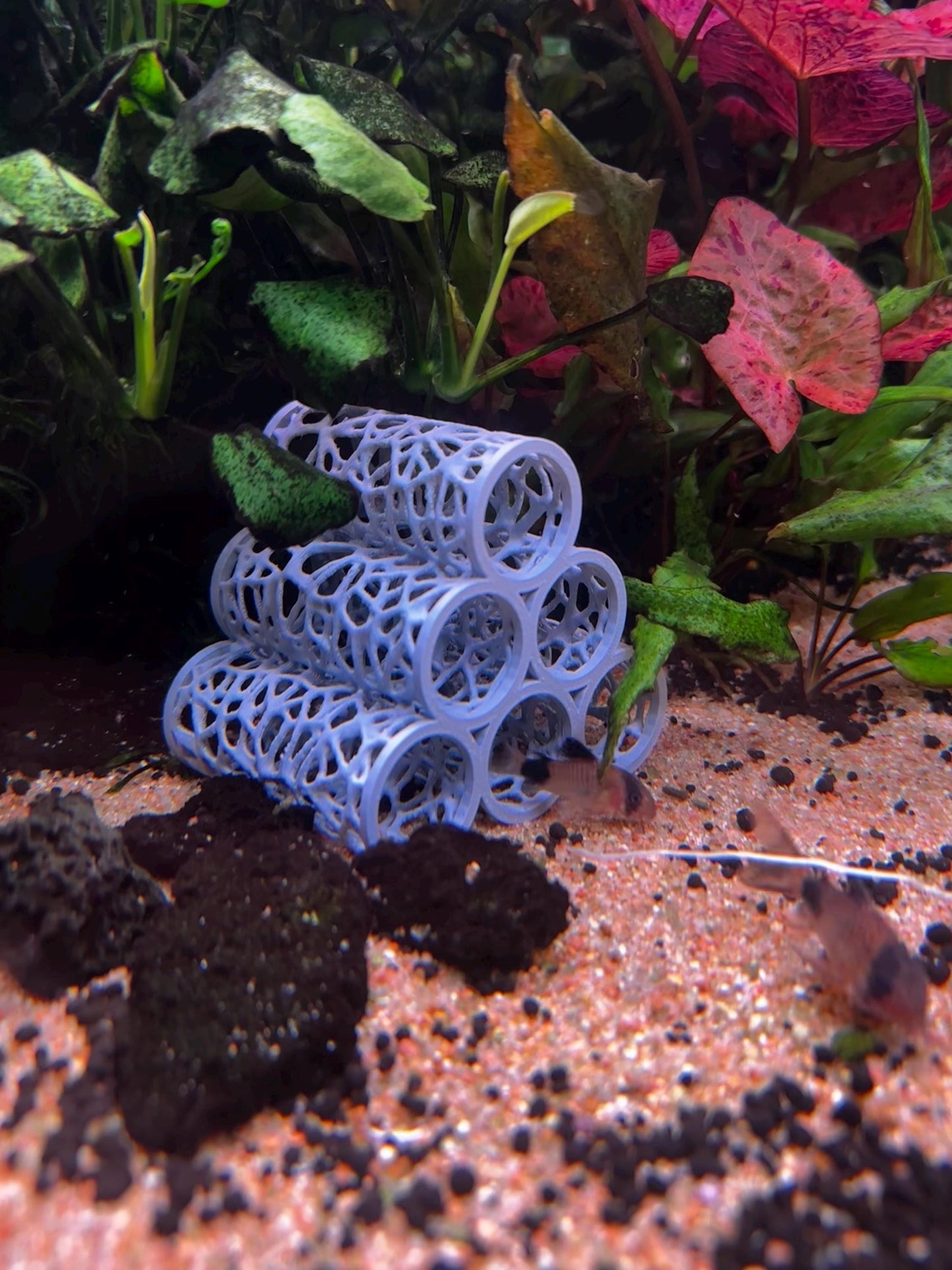 Aquarium Höhle im Voronoi-Design – Versteck für Garnelen, Welse & Jungfische (3er, 5er, 6er)