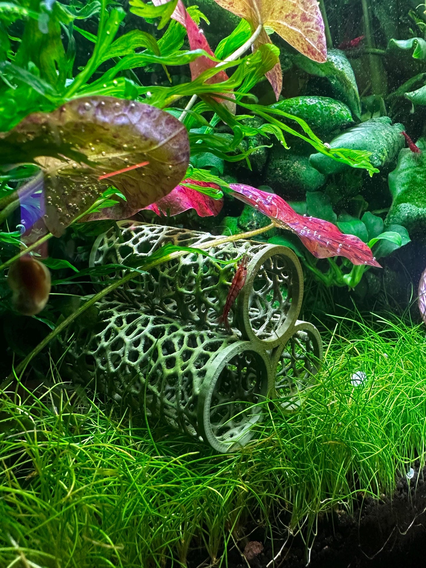 Aquarium Höhle im Voronoi-Design – Versteck für Garnelen, Welse & Jungfische (3er, 5er, 6er)