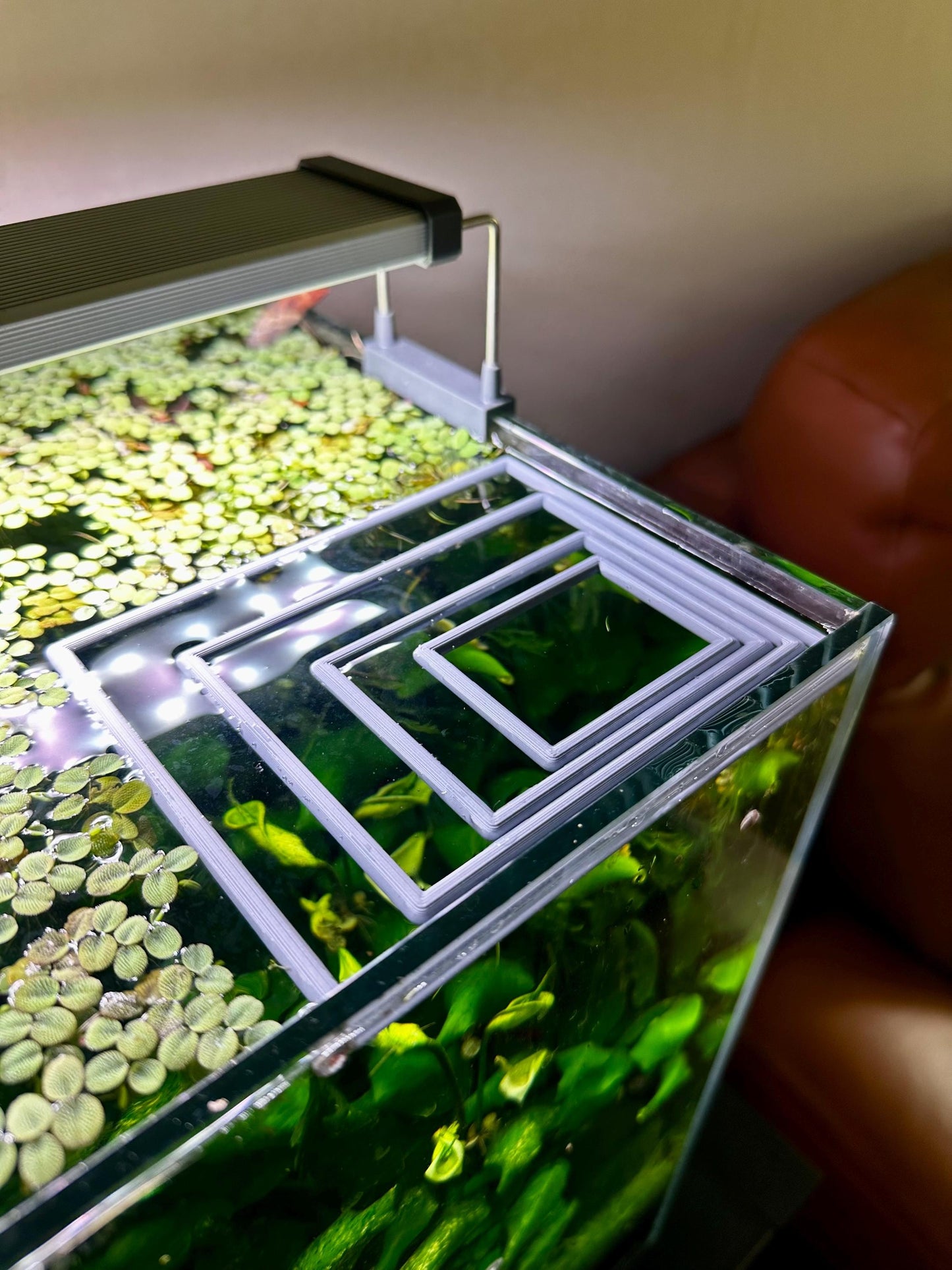 Schwimmender Aquarium-Ring in Rechteckform – Futter- & Pflanzenhilfe