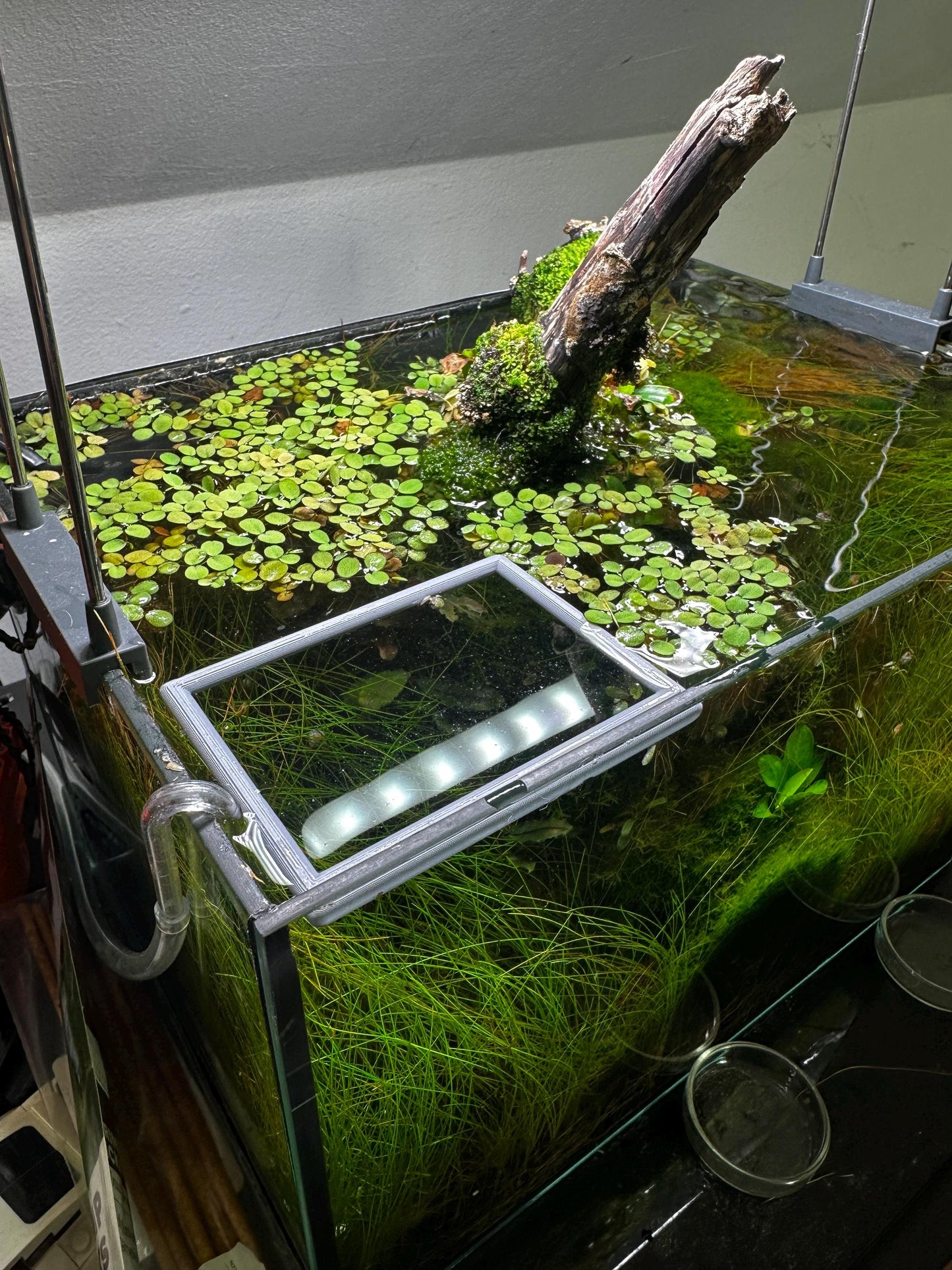 Schwimmender Aquarium-Ring in Rechteckform – Futter- & Pflanzenhilfe