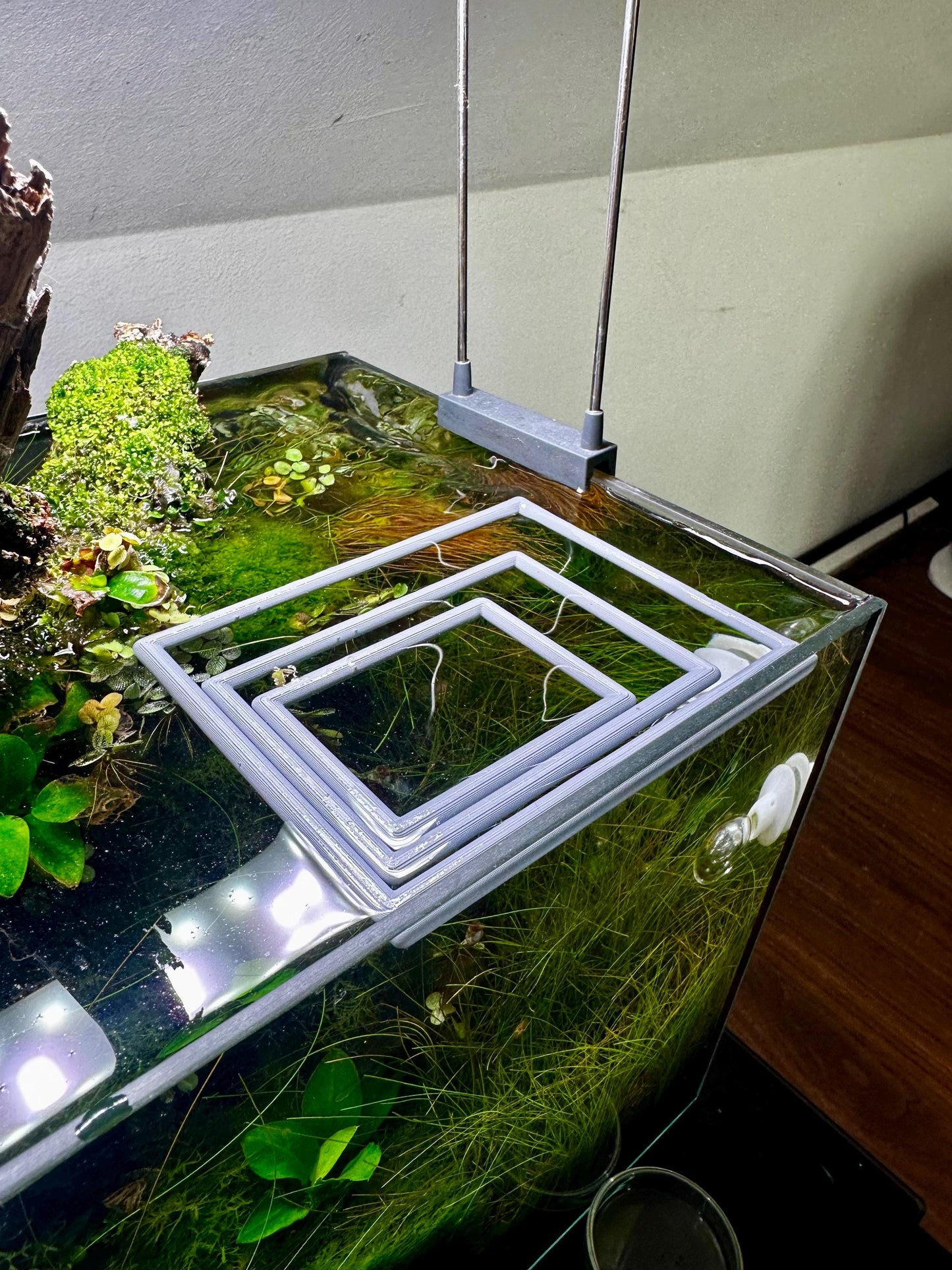 Schwimmender Aquarium-Ring in Rechteckform – Futter- & Pflanzenhilfe