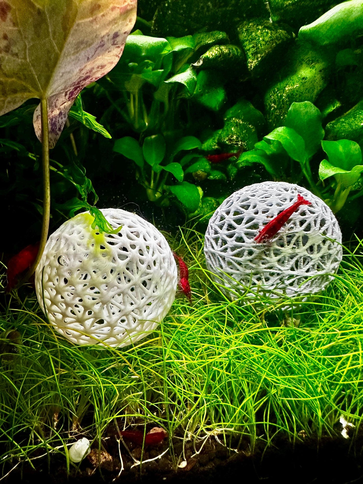 Aquarium Dekokugel z.B zum Aufbinden von Moos