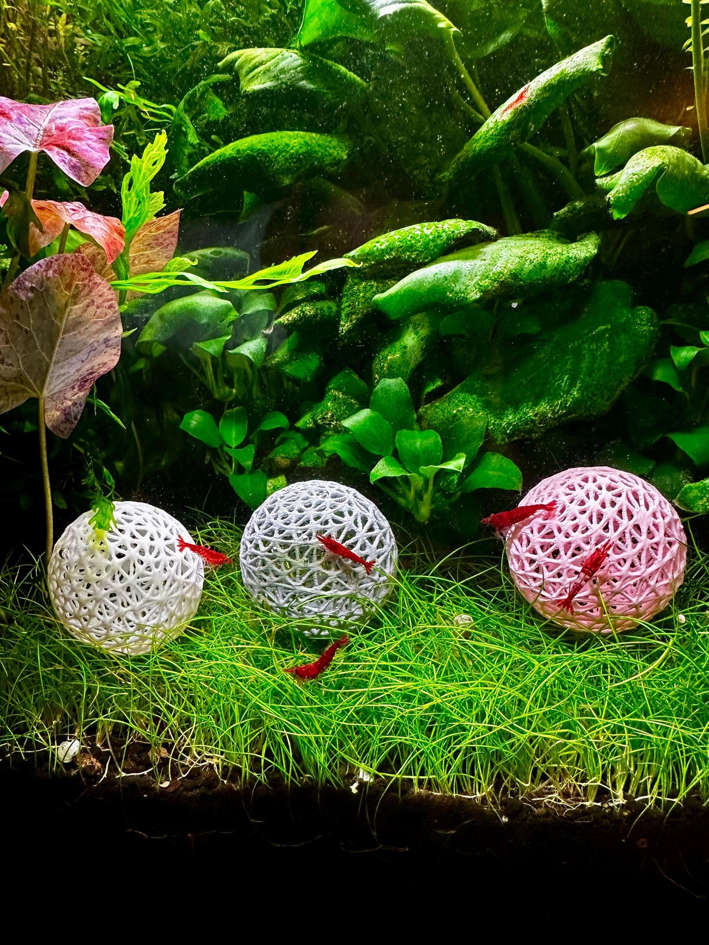 Aquarium Dekokugel z.B zum Aufbinden von Moos