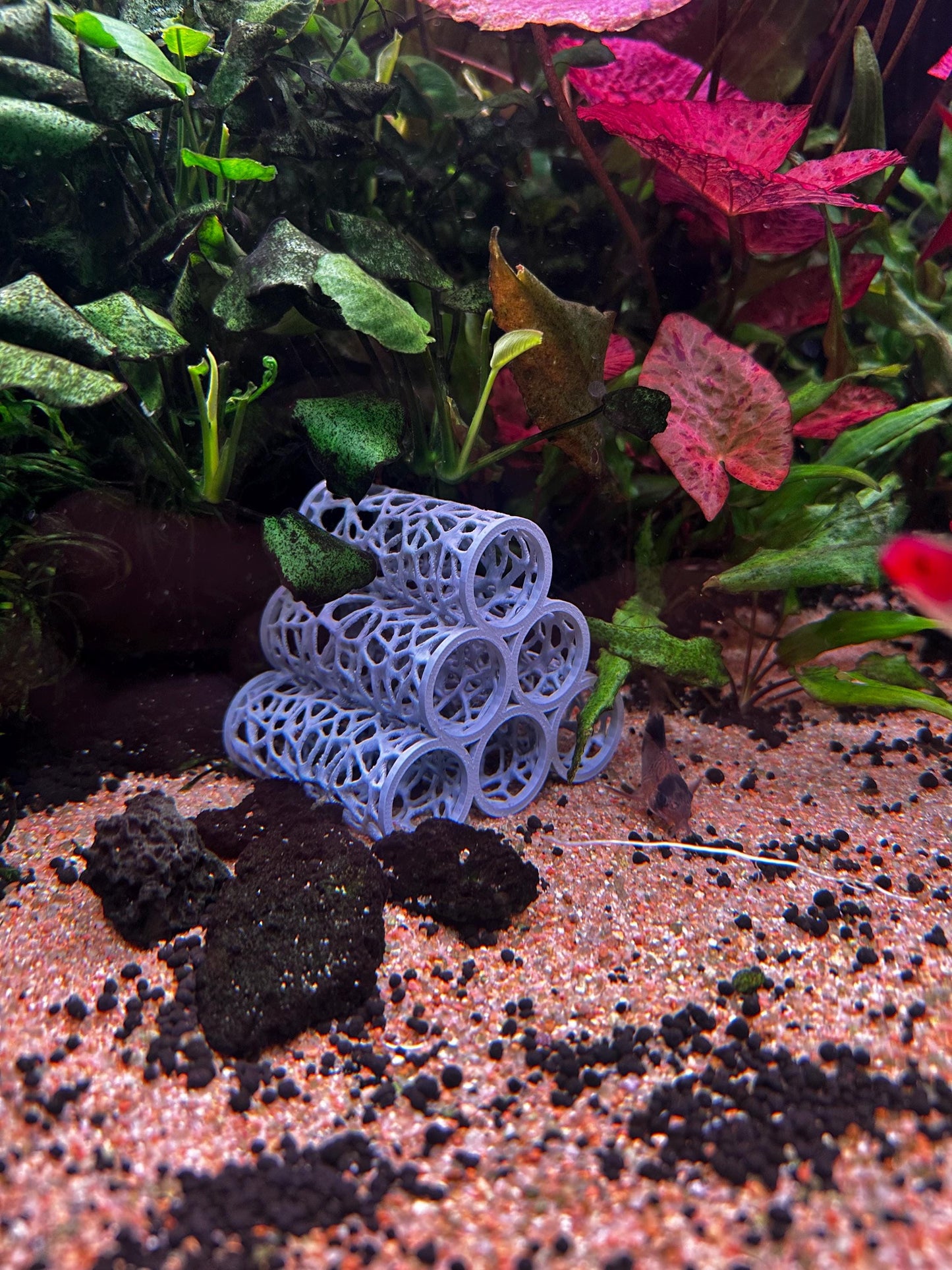 Aquarium Höhle im Voronoi-Design – Versteck für Garnelen, Welse & Jungfische (3er, 5er, 6er)