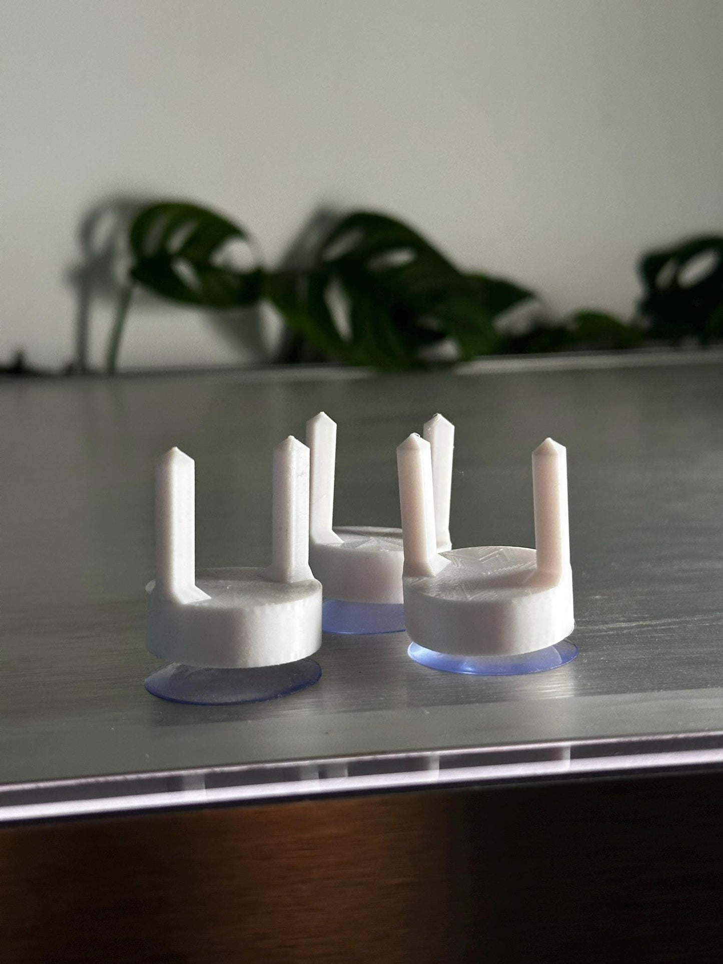 Aquarium Futterhalter mit Saugnapf – Gemüseclip für Welse & Garnelen (3er-Set)