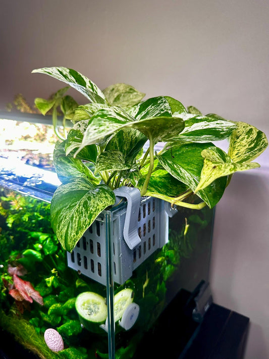 Höhenverstellbarer Aquarium Pflanzenkorb – 3D-gedruckter Pflanzhalter zum Einhängen (S, M, L)