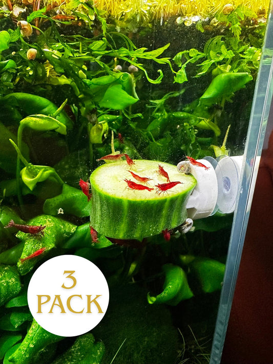 Aquarium Futterhalter mit Saugnapf – Gemüseclip für Welse & Garnelen (3er-Set)