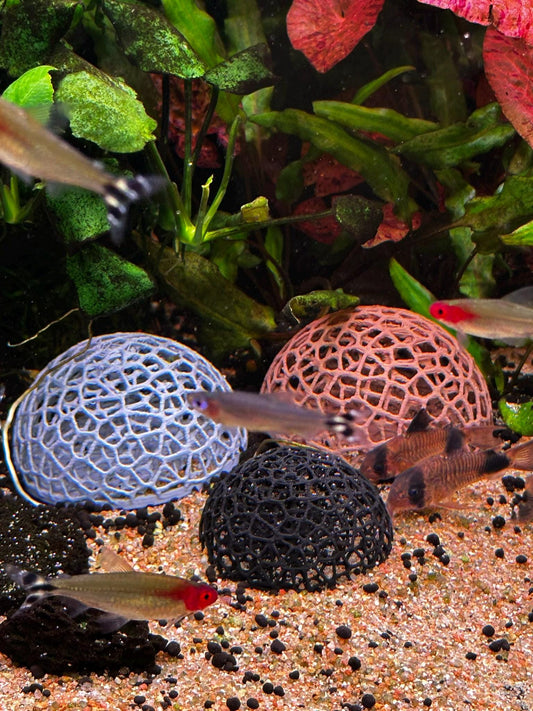 Aquarium Garnelen-Kuppel – Mooshalter & Spielplatz für Aquarien (Ø50/65 mm)