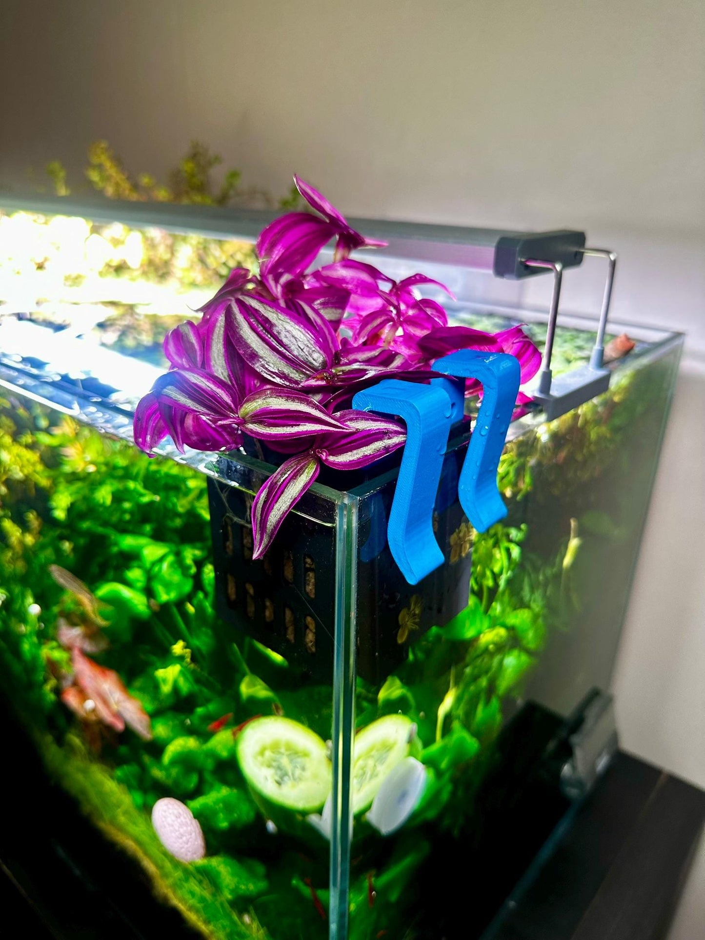Höhenverstellbarer Aquarium Pflanzenkorb – 3D-gedruckter Pflanzhalter zum Einhängen (S, M, L)