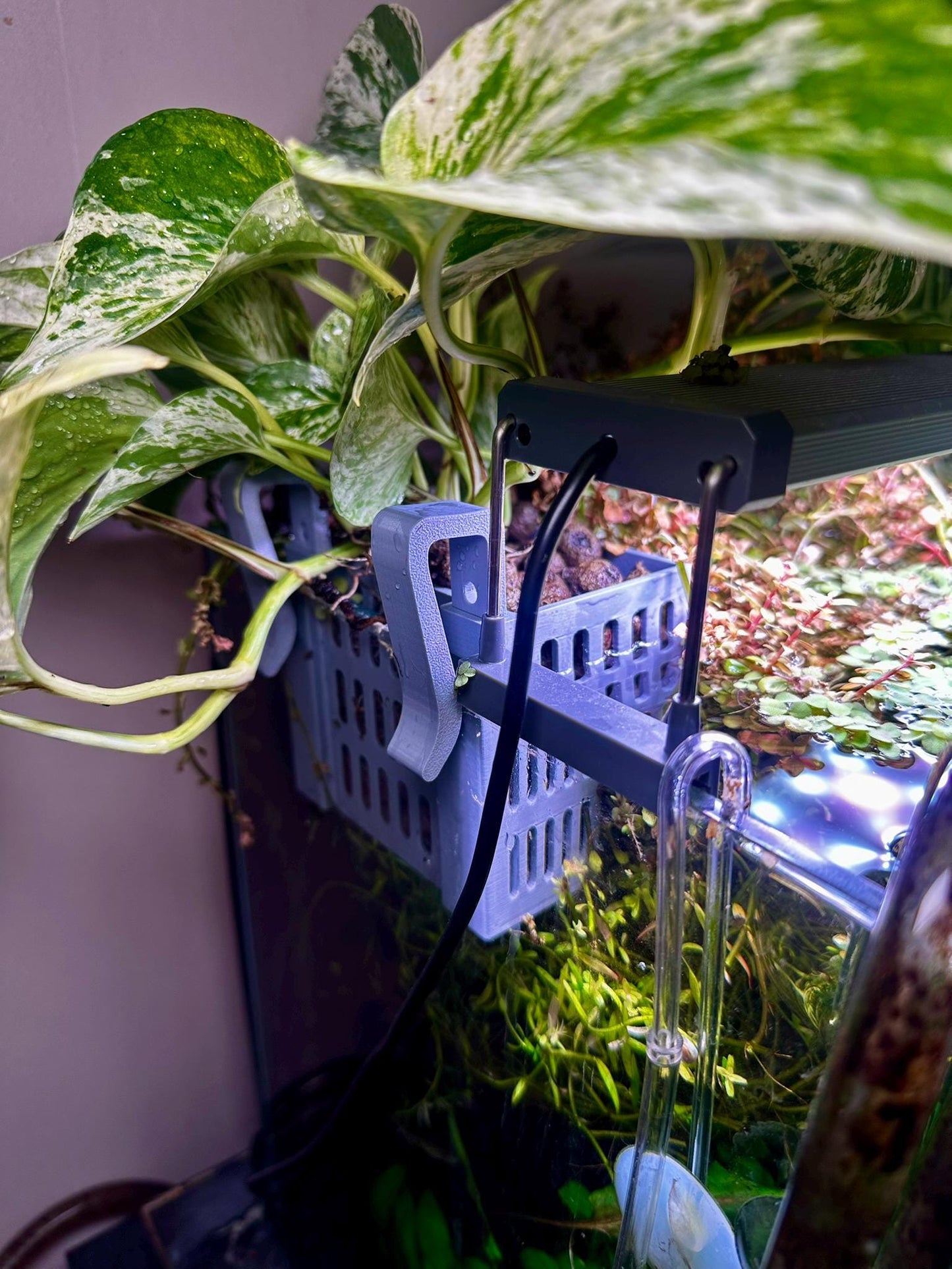 Höhenverstellbarer Aquarium Pflanzenkorb – 3D-gedruckter Pflanzhalter zum Einhängen (S, M, L)