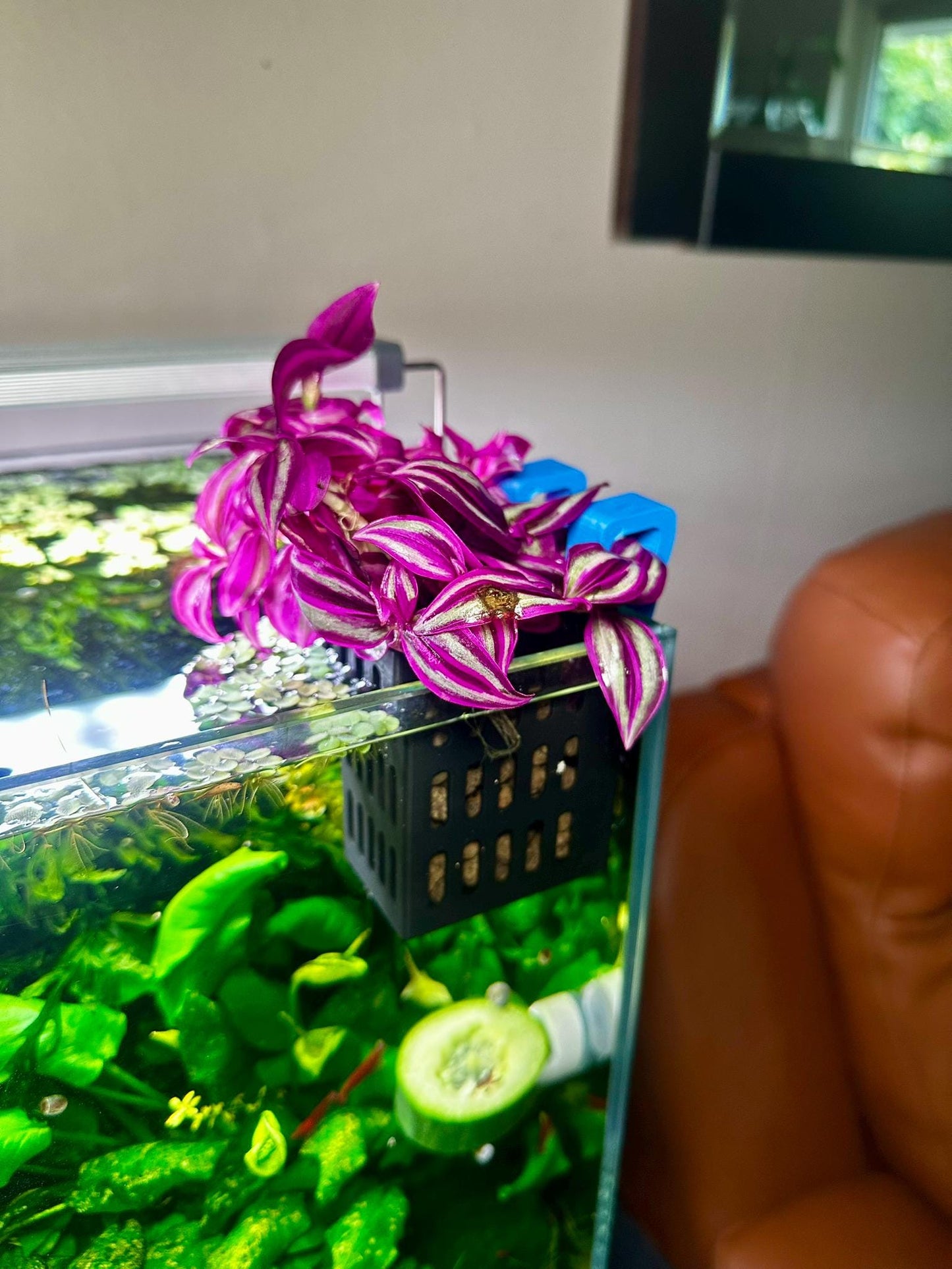 Höhenverstellbarer Aquarium Pflanzenkorb – 3D-gedruckter Pflanzhalter zum Einhängen (S, M, L)