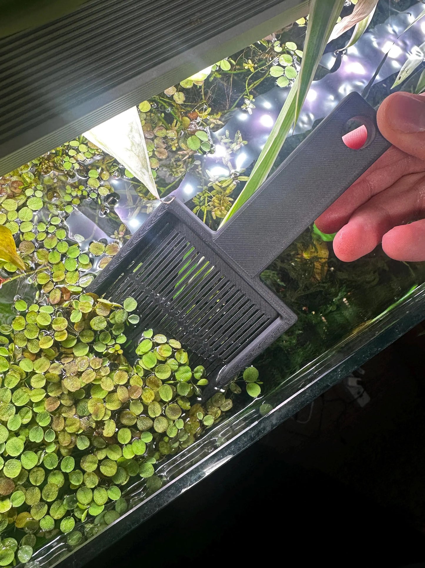Spezial-Kescher für Aquarium Schwimmpflanzen & Wasserlinsen