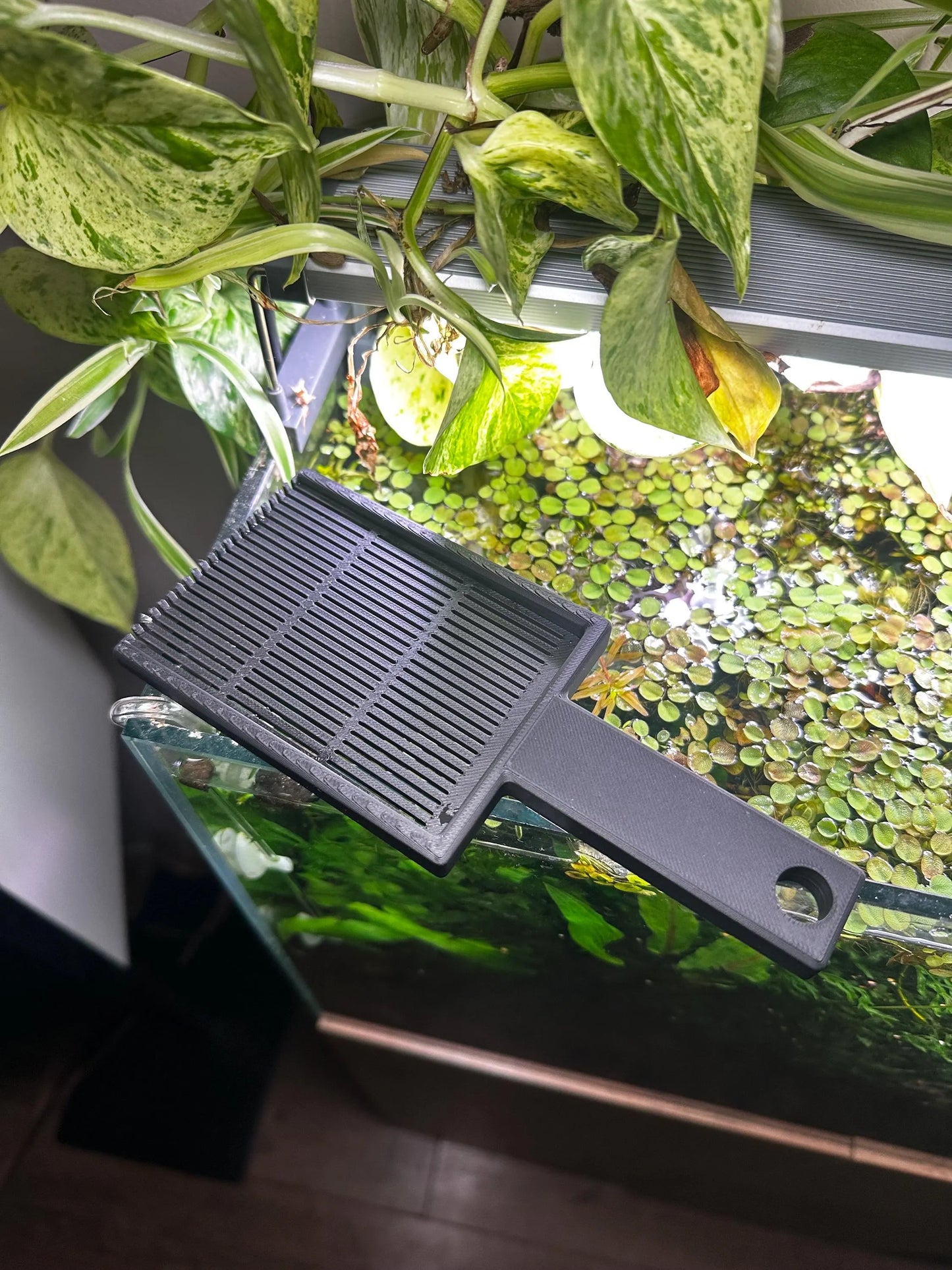 Spezial-Kescher für Aquarium Schwimmpflanzen & Wasserlinsen