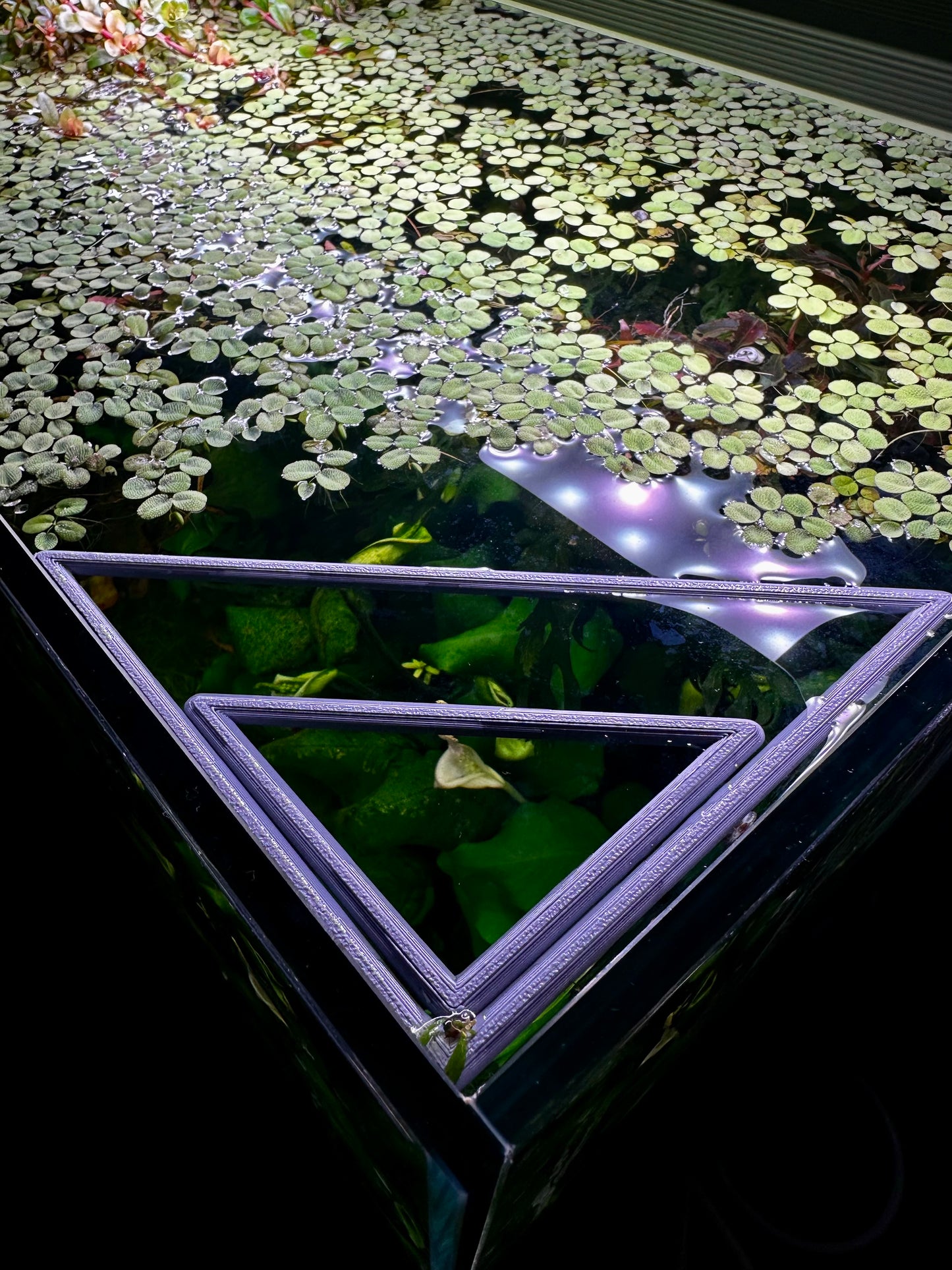 Schwimmender Dreiecksring fürs Aquarium – Pflanzen- & Futterring